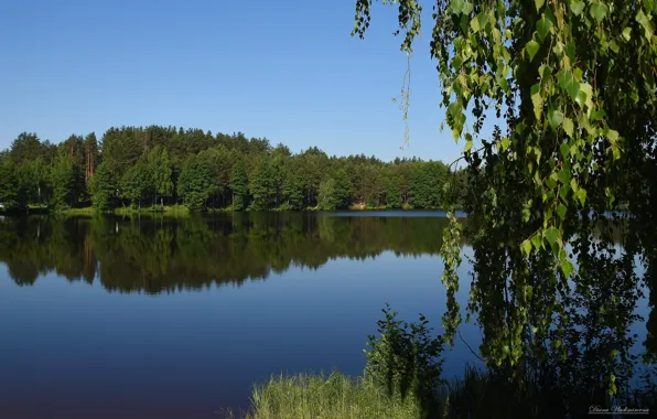 Лето, пейзаж, река