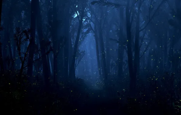 Картинка лес, свет, деревья, ночь, светлячки, огоньки
