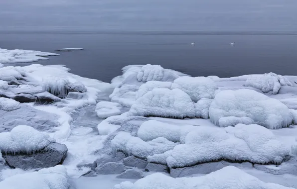 Зима, Швеция, Sweden, Singö, Uppland