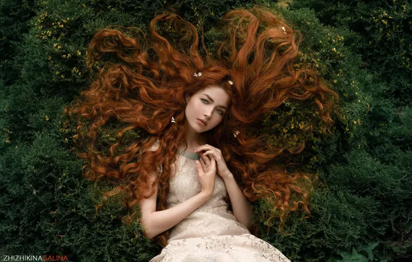 Картинка девушка, green eyes, long hair, dress, trees, model, women, redhead