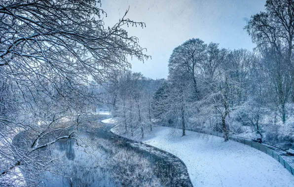Картинка зима, снег, деревья, озеро, парк, отражение