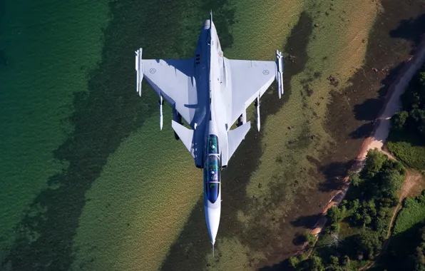 Gripen, многоцелевой истребитель, Saab JAS, 39D