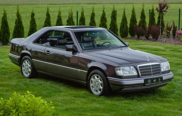 Картинка Coupe, C124, Sportline, Mercedec - Benz, 320ce