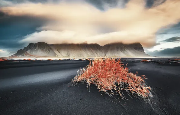 Горы, природа, берег, Vestrahorn Islande