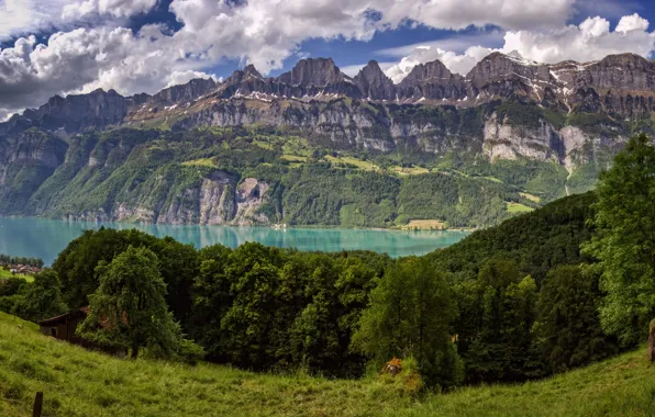 Деревья, горы, озеро, Швейцария, Альпы, луг, панорама, Switzerland