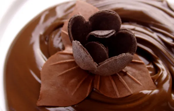 Картинка еда, сладкое, коричневый фон, шоколад. шоколадный цветок