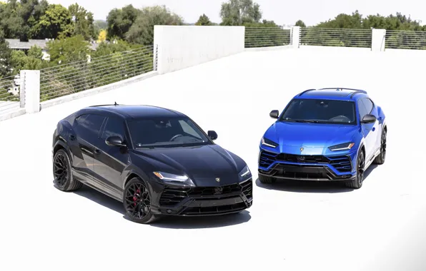 Картинка Lamborghini, SUV, Urus, VAG, Duet, Black & Blue