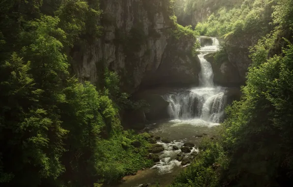 Картинка лес, природа, река, скалы, водопад