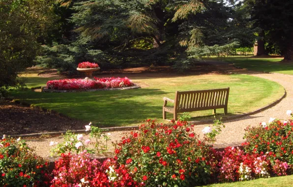 Скамейка, природа, фото, Англия, сад, Barnet, Beale Arboretum