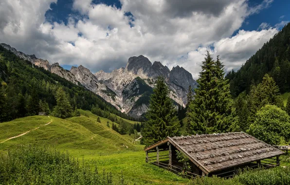 Крыша, зелень, лес, лето, небо, облака, деревья, горы