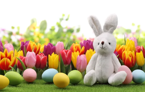 Яйца, кролик, Пасха, тюльпаны, flowers, tulips, spring, Easter