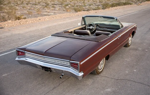 Dodge, 1965, Convertible, Вид сзади, Custom 880