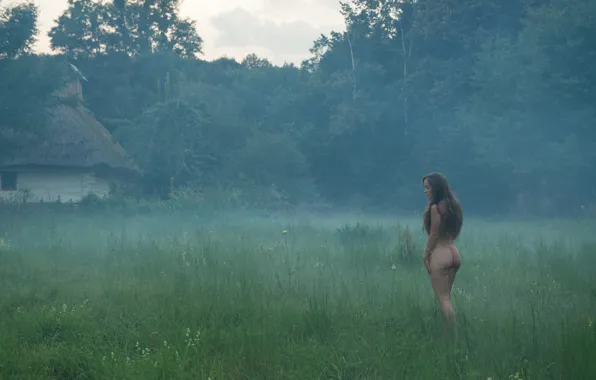 Поле, лес, природа, туман, шатенка, обнаженная, forest, field