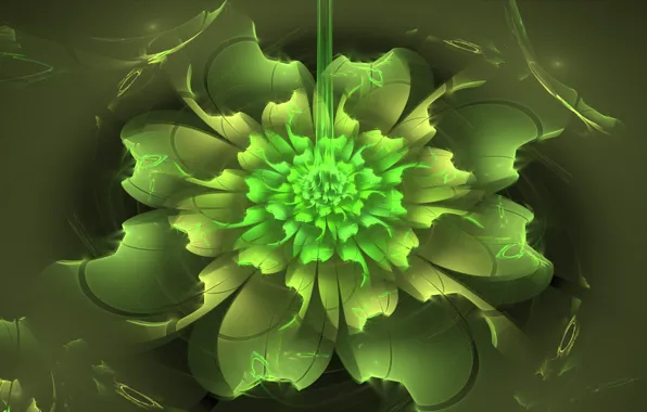 Картинка цветок, абстракция, зеленый