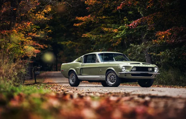 Shelby, GT500, Green