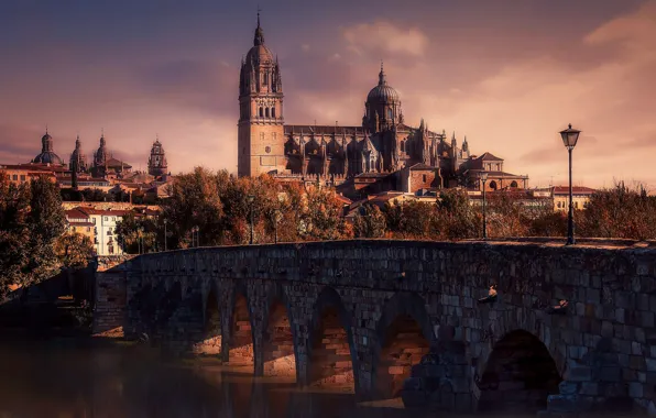 Картинка мост, река, Испания, Пуэнте-мэр дель-Тормес