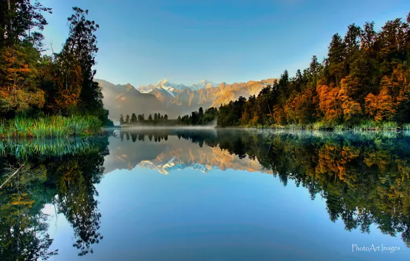 Картинка лес, отражения, горы, озеро, Новая Зеландия, Южный остров, Национальный парк Вестленд, Ледник Фокса