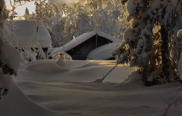 Картинка зима, снег, деревья, природа, дома, сугробы