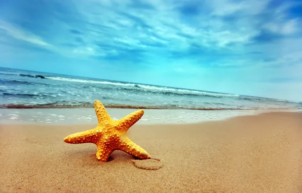 Картинка песок, волны, берег, звезда, 155