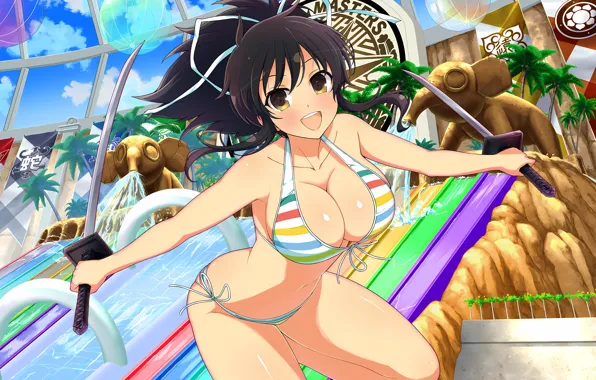 Girl, sexy, cleavage, long hair, legs, brown eyes, boobs, anime