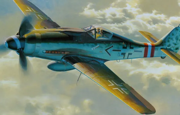 Картинка aircraft, war, airplane, aviation, dogfight, fw 190. german fighter