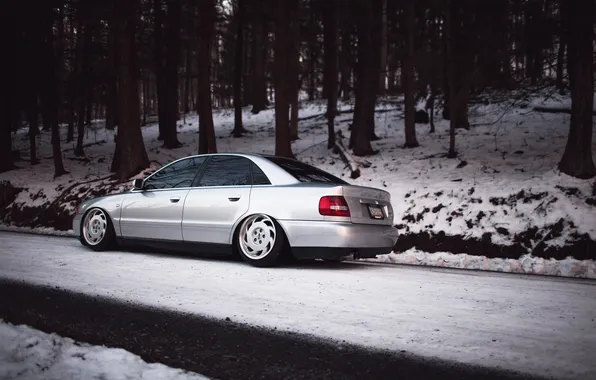 Картинка лес, снег, Audi, ауди, серебристая, stance, догога