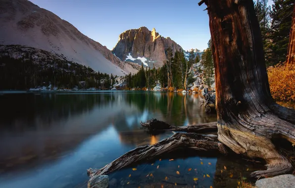 Картинка осень, деревья, горы, скала, озеро, Калифорния, California, Сьерра-Невада