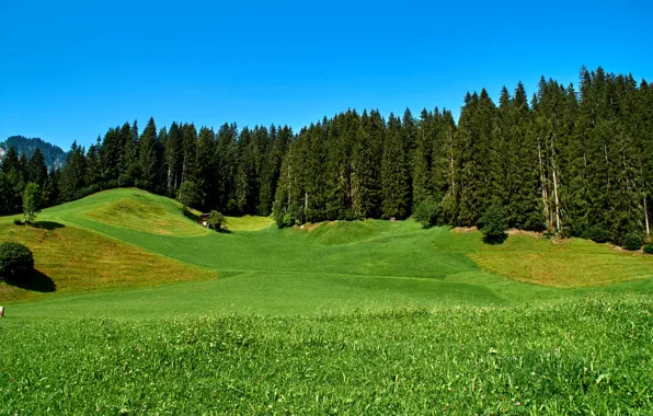 Картинка зелень, небо, трава, деревья, горы, голубое, поля, Германия