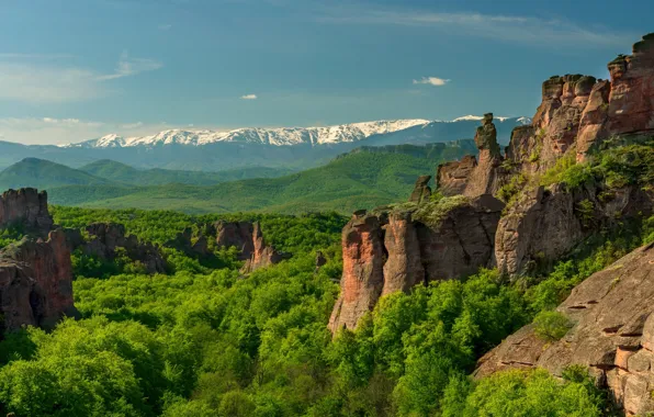 Лес, лето, небо, снег, горы, камни, скалы, растительность