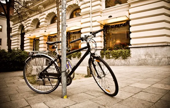 Bicycle, photography, street, lightining