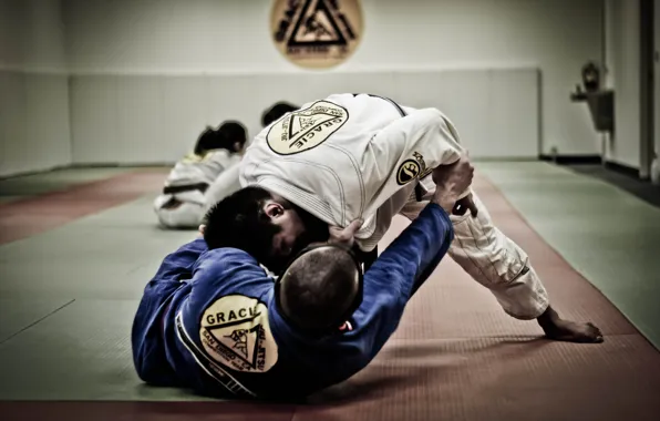 Fight, Grappling, BJJ