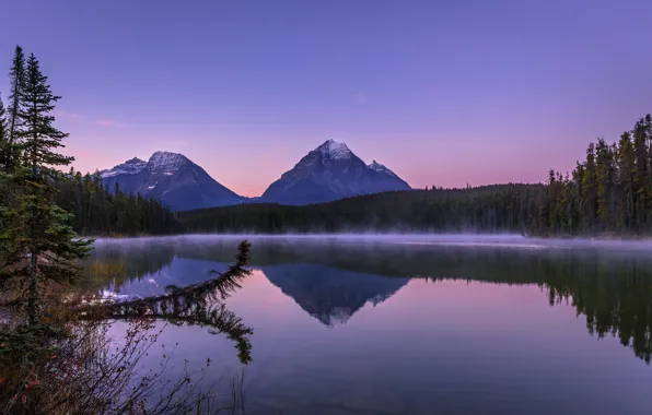 Картинка лес, горы, озеро, Канада, Canada, Jasper National Park, Mount Fryatt, Leach Lake