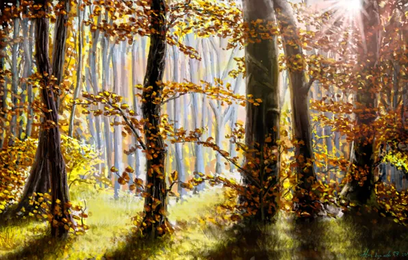 Картинка осень, лес, листья, солнце, лучи, деревья, природа