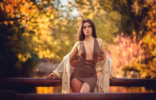 Девушка, фон, Paula