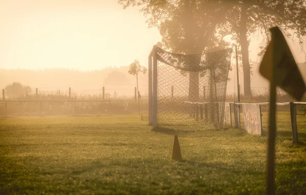 Картинка поле, туман, утро, ворота