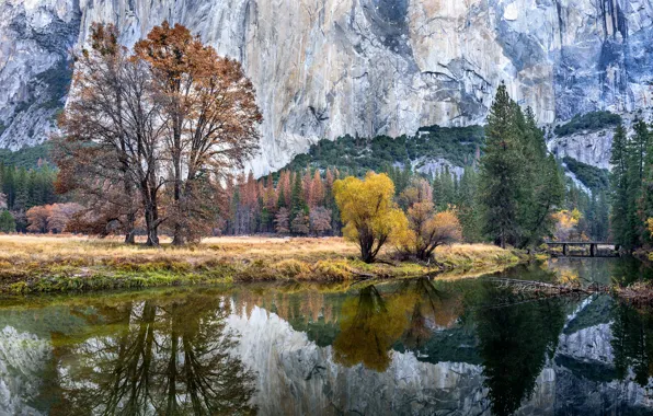 Картинка осень, лес, деревья, мост, скалы, Калифорния, США, речка