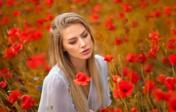 Картинка поле, девушка, цветы, лицо, настроение, маки, блондинка, Anna Rawka