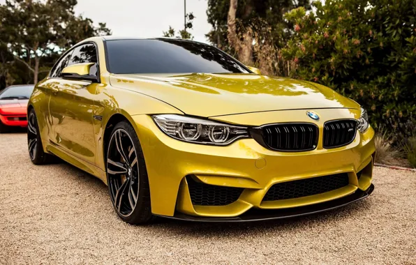 Купе, спорткар, Золотая, BMW M4