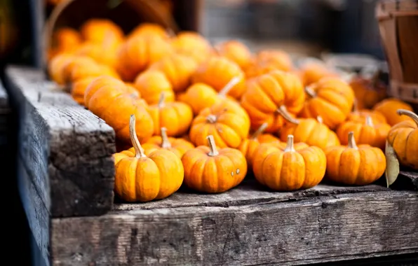 Картинка осень, урожай, тыквы, оранжевые, овощи, корзины