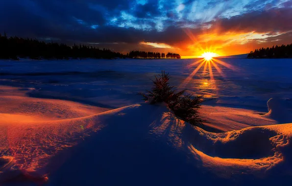 Картинка forest, Winter, sky, trees, landscape, nature, sunset, beautiful