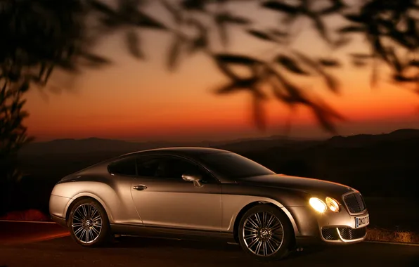 Bentley, sunset, continental gt speed