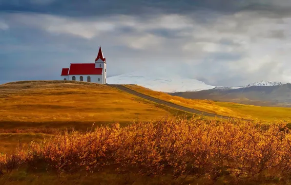 Autumn, Iceland, Fields of Gold