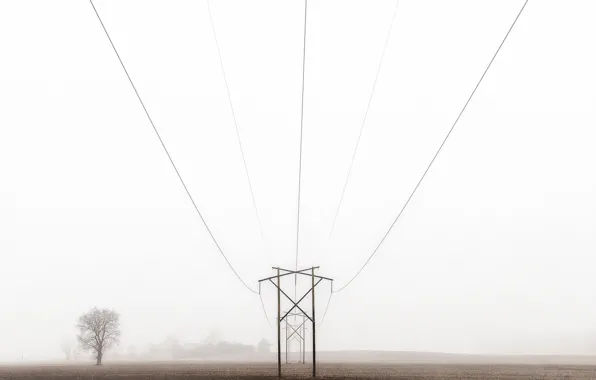 Картинка field, farm, foggy, power line