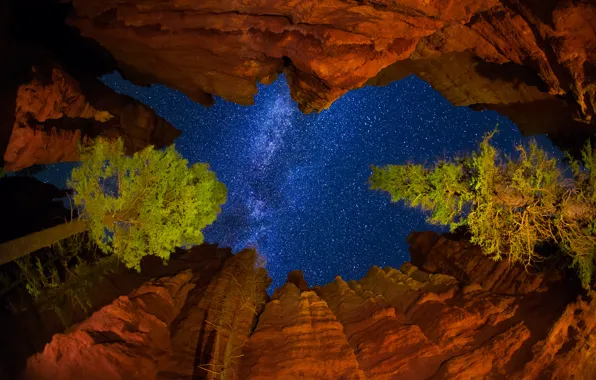 Картинка небо, звезды, деревья, ночь, скалы, США, млечный путь, штат Юта