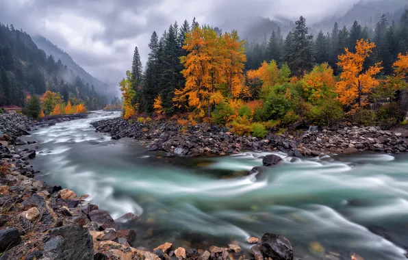 Природа, Красота, Nature, Autumn, Serene, Flowing Water, Long exposure, Autumn Scenery