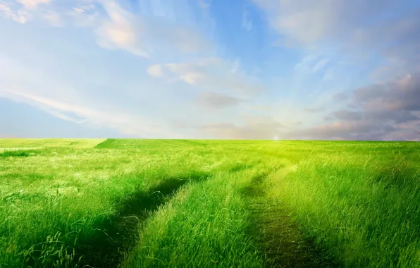 Картинка дорога, зелень, поле, небо, трава, облака, природа, горизонт