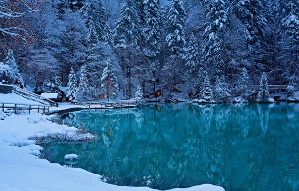 Картинка зима, лес, озеро, Швейцария, Switzerland, Bernese Oberland, Kander Valley, долина реки Кандер