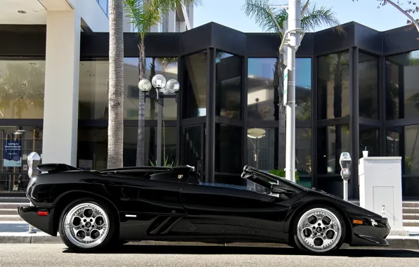 Пальма, черный, Lamborghini, кабриолет, black, diablo, roadster, ламборгини