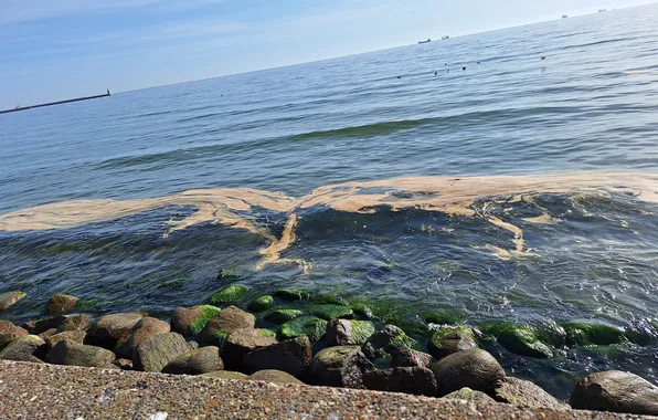Kamienie, Brzeg, przestrzeń morska, morze bałtyckie