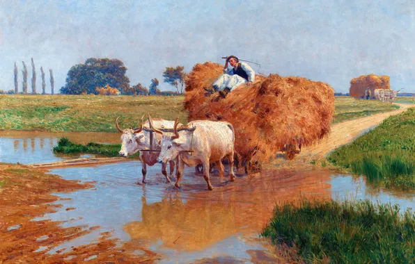 Картина, Повозка, Сено, Мужчина, Быки, Австрийский художник, Заготовка сена, Стефан Симони